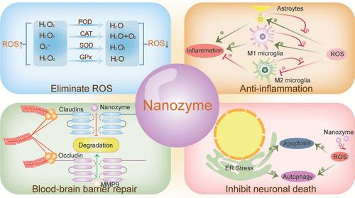 Nanozymes: Potential Therapies for Reactive Oxygen Species Overproduction and Inflammation in Ischemic Stroke and Traumatic Brain Injury