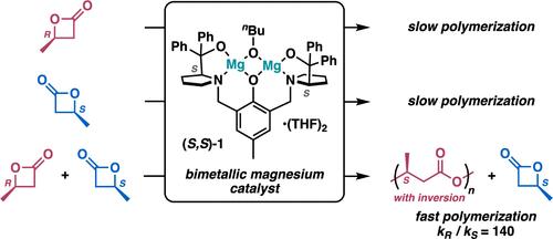 Highly Enantioselective Polymerization of β-Butyrolactone by a Bimetallic Magnesium Catalyst: An Interdependent Relationship Between Favored and Unfavored Enantiomers