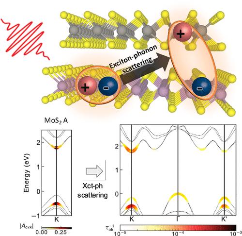 Exciton–Phonon Coupling Induces a New Pathway for Ultrafast Intralayer-to-Interlayer Exciton Transition and Interlayer Charge Transfer in WS2–MoS2 Heterostructure: A First-Principles Study