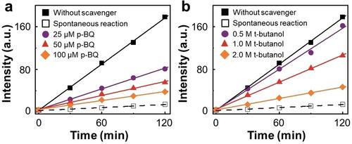 Fluorogenic Reaction Probes Defect Sites on Titanium Dioxide Nanoparticles