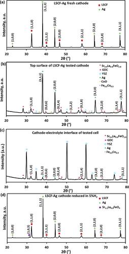 Performance of Ferrite-Based Electrodes for Steam Electrolysis in Symmetrical Solid Oxide Cells