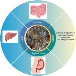 Human exposure to micro(nano)plastics: Health risks and analysis methods