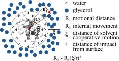 Glycerol-slaved 1H-1H NMR cross-relaxation in quasi-native lysozyme