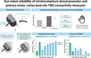 Test-retest reliability of intrahemispheric dorsal premotor and primary motor cortex dual-site TMS connectivity measures