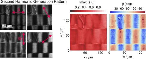 Patterning of 2D second harmonic generation active arrays in ferroelectric nematic fluids