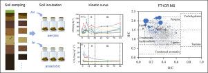 The overlooked role of deep soil in dissolved organic carbon transformation and CO2 emissions: Evidence from incubation experiments and FT-ICR MS characterization