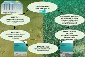 DAPSI(W)R(M) put into practice for a nature-based solution: Framework applied to the coastbusters approach