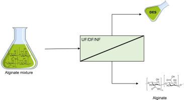 Pressure-driven membrane processes for the recovery and recycling of deep eutectic solvents: A seaweed biorefinery case study.