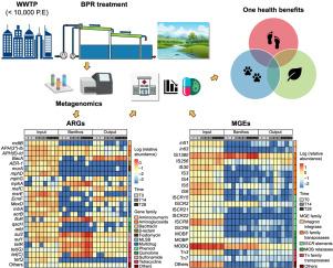 Nature-based bioreactors: Tackling antibiotic resistance in urban wastewater treatment