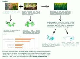 Engineering abiotic stress using the properties of soil mycorrhiza, in rice plants (Oryza sativa) -an silico study