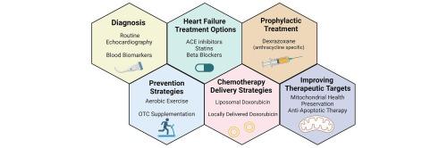 Navigating cancer therapy induced cardiotoxicity: From pathophysiology to treatment innovations