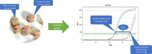 Generic viability qPCR for monitoring shelf life of microbial biological control agents coated on seeds based on the nucleic acid intercalating dyes EMA and PMAxx