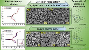 Comparison of the corrosion behaviour of 10Cr and 17Cr Al added ODS steel in simulated reprocessing nitric acid medium