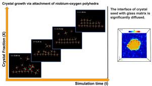 Machine learning based insights of seeded congruent crystal growth of LiNbO3 in glass