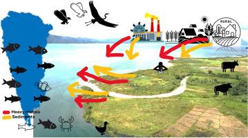 Assessment of contamination and potential ecological risks of heavy metals in the bottom sediments of Lake Mainit, Philippines