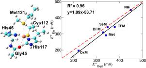 Theoretical insights into the reduction of Azurin metal site with unnatural amino acid substitutions