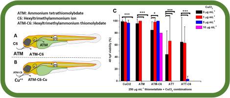 Hexyltrimethylammonium ion enhances potential copper-chelating properties of ammonium thiomolybdate in an in vivo zebrafish model