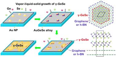 Understanding the growth mechanisms of γ-GeSe for polymorph-selective large-area deposition†