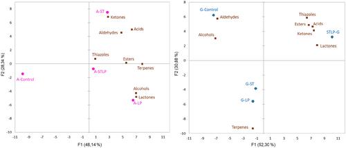 Identification of volatile and odor-active compounds in pea protein fractions obtained by a modified extraction method using fermentation