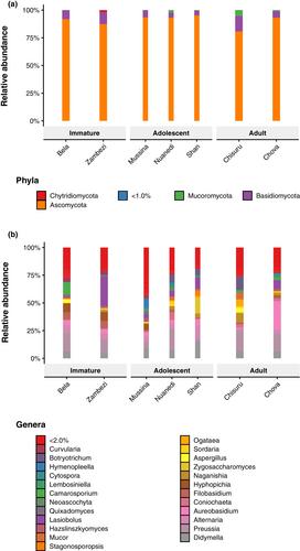 A metagenomic survey of the fecal microbiome of the African savanna elephant (Loxodonta africana)