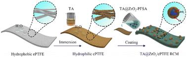 A composite proton exchange membrane with a three-dimensionally-reinforced hydrogen bonding network for durable hydrogen fuel cells†