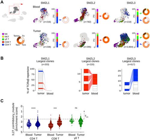 Integrated spatial and multimodal single-cell transcriptomics reveal patient-dependent cell heterogeneity in splenic marginal zone lymphoma