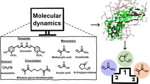 Rational Design of Molecularly Imprinted Polymers for Curcuminoids Binding: Computational and Experimental Approaches for the Selection of Functional Monomers