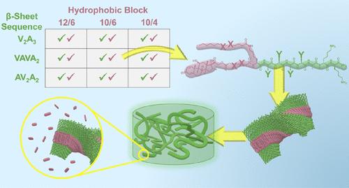 Iterative Design Reveals Molecular Domain Relationships in Supramolecular Peptide–Drug Conjugates