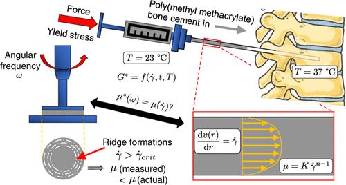 Rheological Analysis and Evaluation of Measurement Techniques for Curing Poly(Methyl Methacrylate) Bone Cement in Vertebroplasty