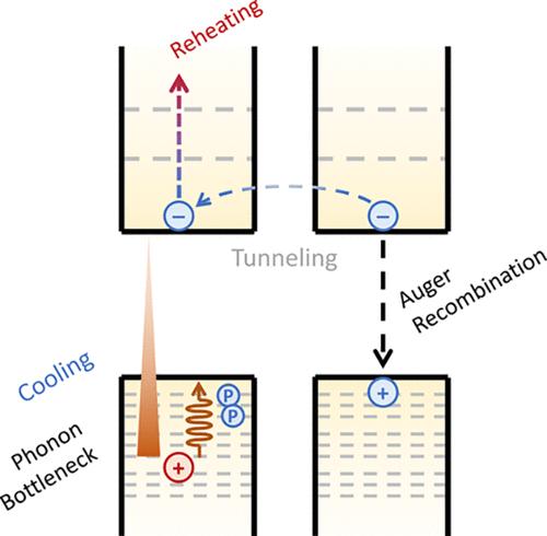 Slow Hot-Exciton Cooling and Enhanced Interparticle Excitonic Coupling in HgTe Quantum Dots