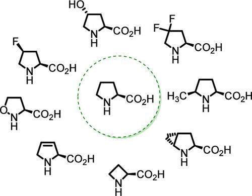 Proline Analogues