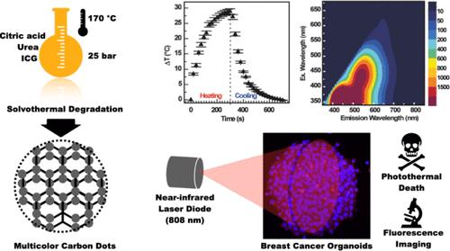 Ultrasmall Carbon Nanodots as Theranostic Nanoheaters for Precision Breast Cancer Phototherapy: Establishing the Translational Potential in Tumor-in-a-Dish Models