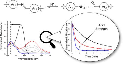 Understanding Degradation Dynamics of Azomethine-containing Conjugated Polymers