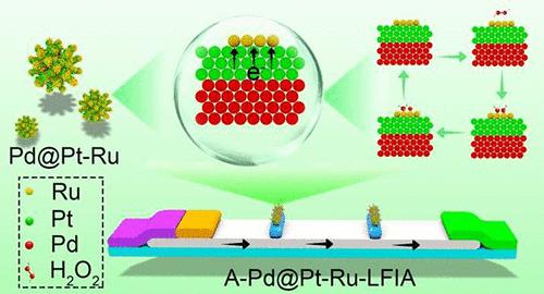 Palladium/Platinum/Ruthenium Trimetallic Dendritic Nanozymes Exhibiting Enhanced Peroxidase-like Activity for Signal Amplification of Lateral Flow Immunoassays