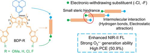 Electron-Withdrawing Substituents Enhance the Type I PDT and NIR-II Fluorescence of BODIPY J Aggregates for Bioimaging and Cancer Therapy