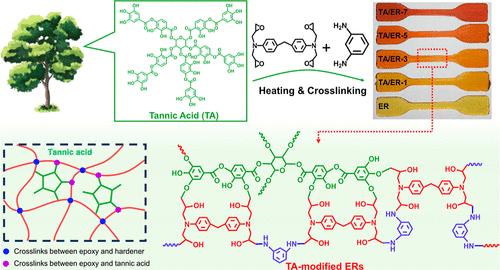 Sustainably Sourced Tannic Acid Enables Fast-Curing High-Strength Epoxy Adhesives with Increased Toughness