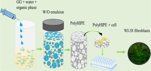 Synthesis and Characterization of PolyHIPE-Gellan Gum Material with Tunable Macroporosity for Tissue Engineering Applications