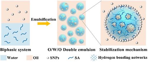 One-Step Formation of Pickering Double Emulsion Costabilized by Hydrophobic Silica Nanoparticles and Sodium Alginate