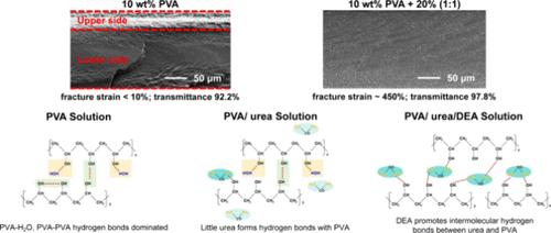 Suppression of the Skin-Core Structure of Poly(vinyl alcohol) Films by Adding Urea/Diethanolamine to Improve the Mechanical and Optical Properties