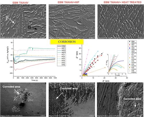 Effect of Heat Treatment and Hot Isostatic Pressing on the Corrosion Behavior of Ti6Al4 V Parts Produced by Electron Beam Melting Additive Manufacturing Technology
