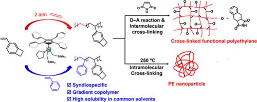 Syndiotactic (Co)polymerization of 4-Vinylbenzocyclobutene Catalyzed by Rare-Earth Metal Complex