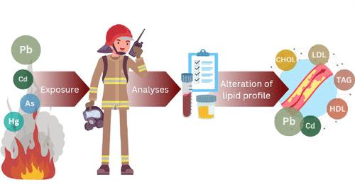 Internal Flames: Metal(loid) Exposure Linked to Alteration of the Lipid Profile in Czech Male Firefighters (CELSPAC-FIREexpo Study)