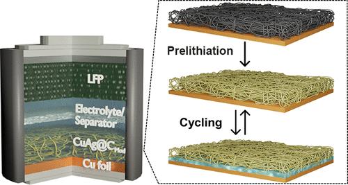Chemical Prelithiated 3D Lithiophilic/-Phobic Interlayer Enables Long-Term Li Plating/Stripping