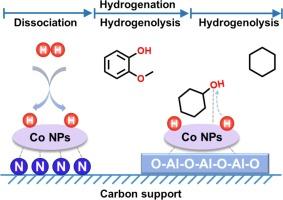 Selective production of high-value fuel via catalytic upgrading of bio-oil over nitrogen-doped carbon-alumina hybrid supported cobalt catalysts