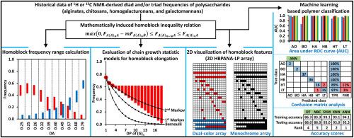 Inequality relations for NMR-based polymer homoblock analysis and extended application: Reanalysis of historical data on alginates, chitosans, homogalacturonans, and galactomannans