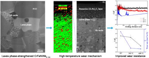 Sliding wear behavior of a Laves phase-strengthened CrFeNiNb0.158 alloy at room and elevated temperatures