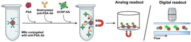 Single-molecule microfluidic assay for prostate-specific antigen based on magnetic beads and upconversion nanoparticles†