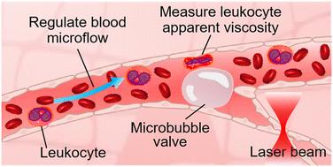 Laser-induced microbubble as an in vivo valve for optofluidic manipulation in living Mice's microvessels†
