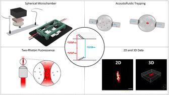 Two-photon microscopy of acoustofluidic trapping for highly sensitive cell analysis