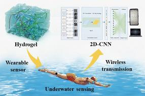 A flexible wearable sensor based on anti-swelling conductive hydrogels for underwater motion posture visualization assisted by deep learning†